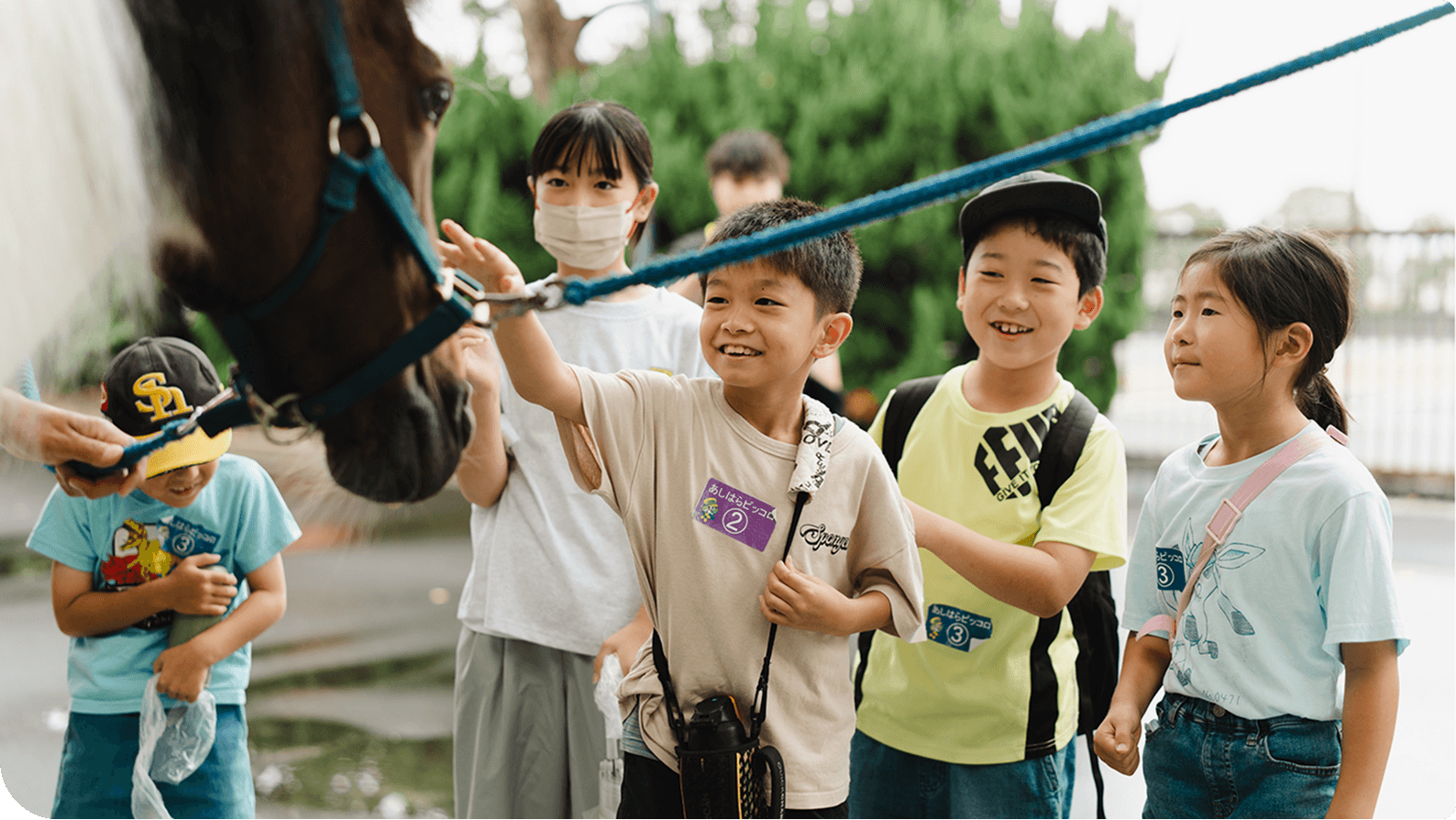 ������ւƂȂ���x���̏z��ڎw����