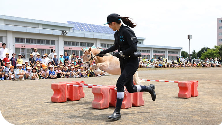 �ӂꂠ���̌��̗l�q