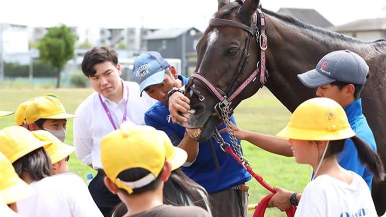 �ӂꂠ���̌��̗l�q