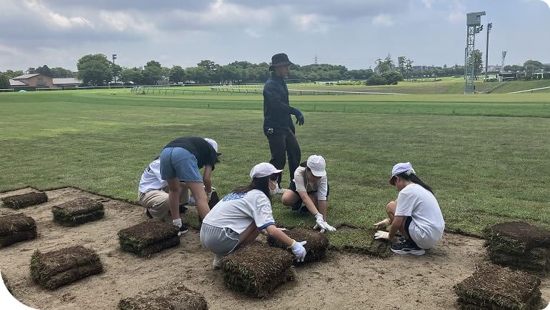 �Ő��̒���ւ��̌��̗l�q