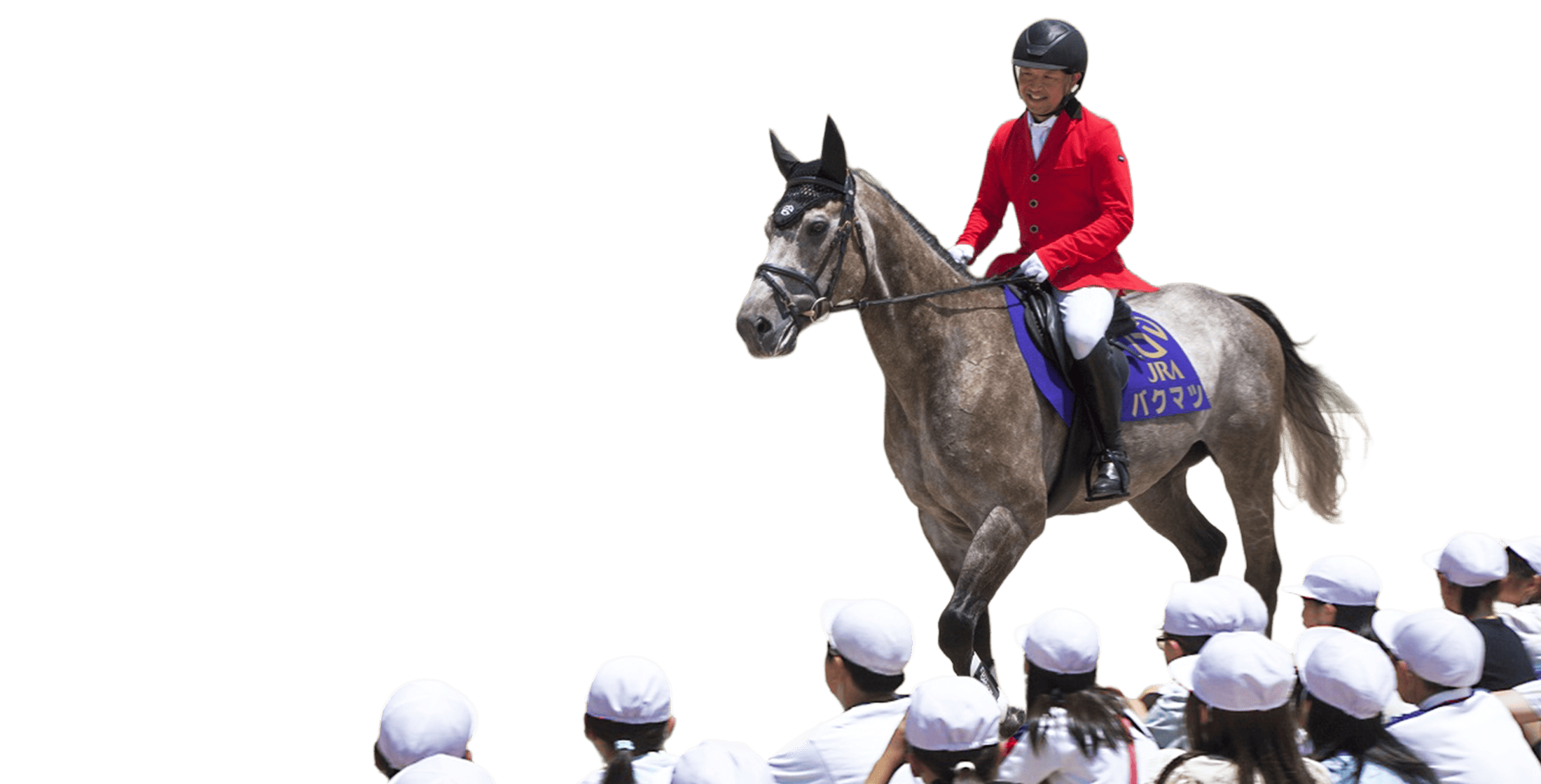 �ۊO���Ƃ̗l�q