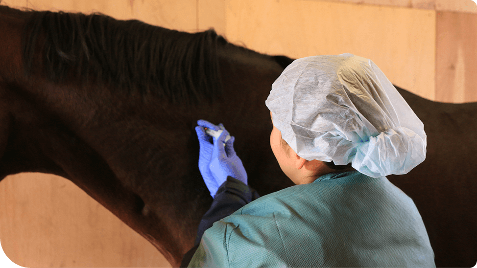 ���S������Ə�