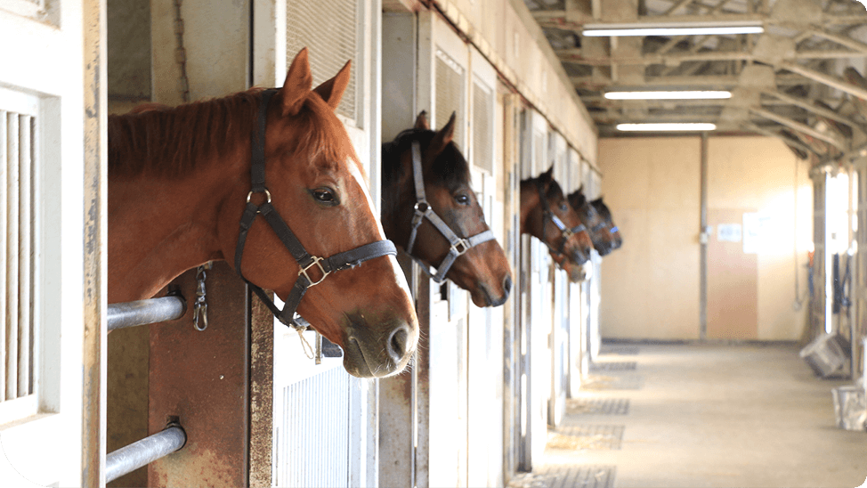 ���X���u�X�ɂőҋ@����n����