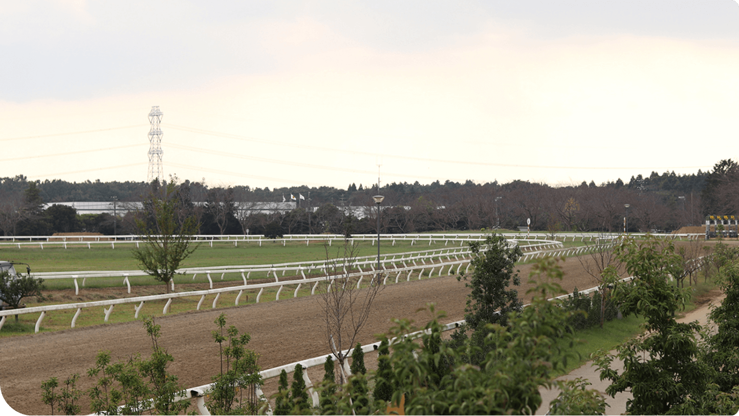 ���Ӗq��̒����n��