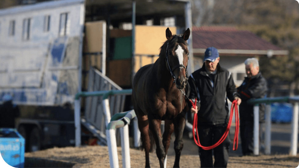 �n�^�ԓ��̗l�q