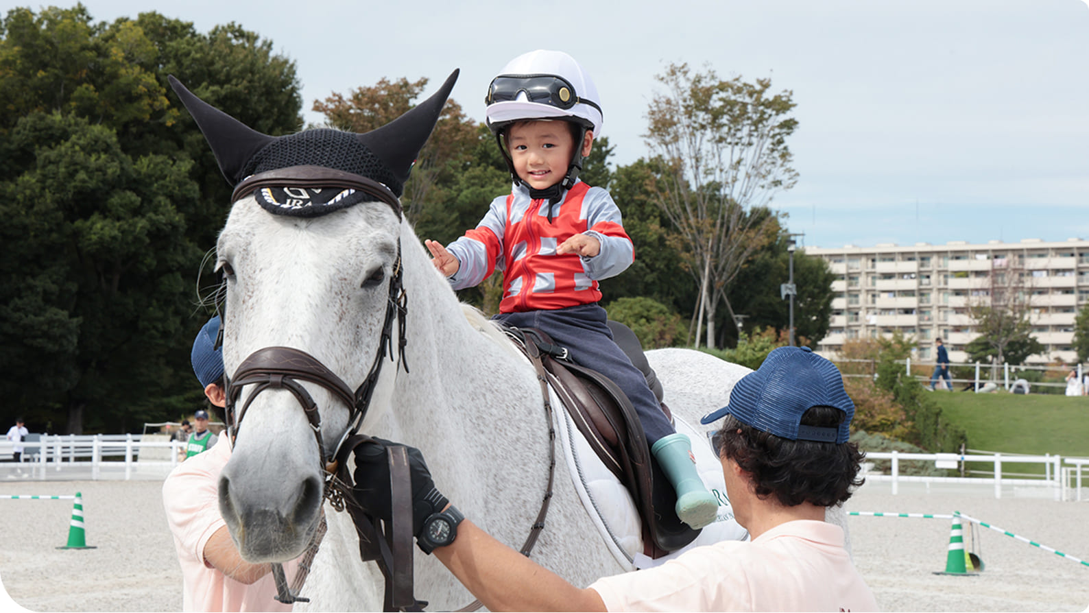 �̌���n�̗l�q