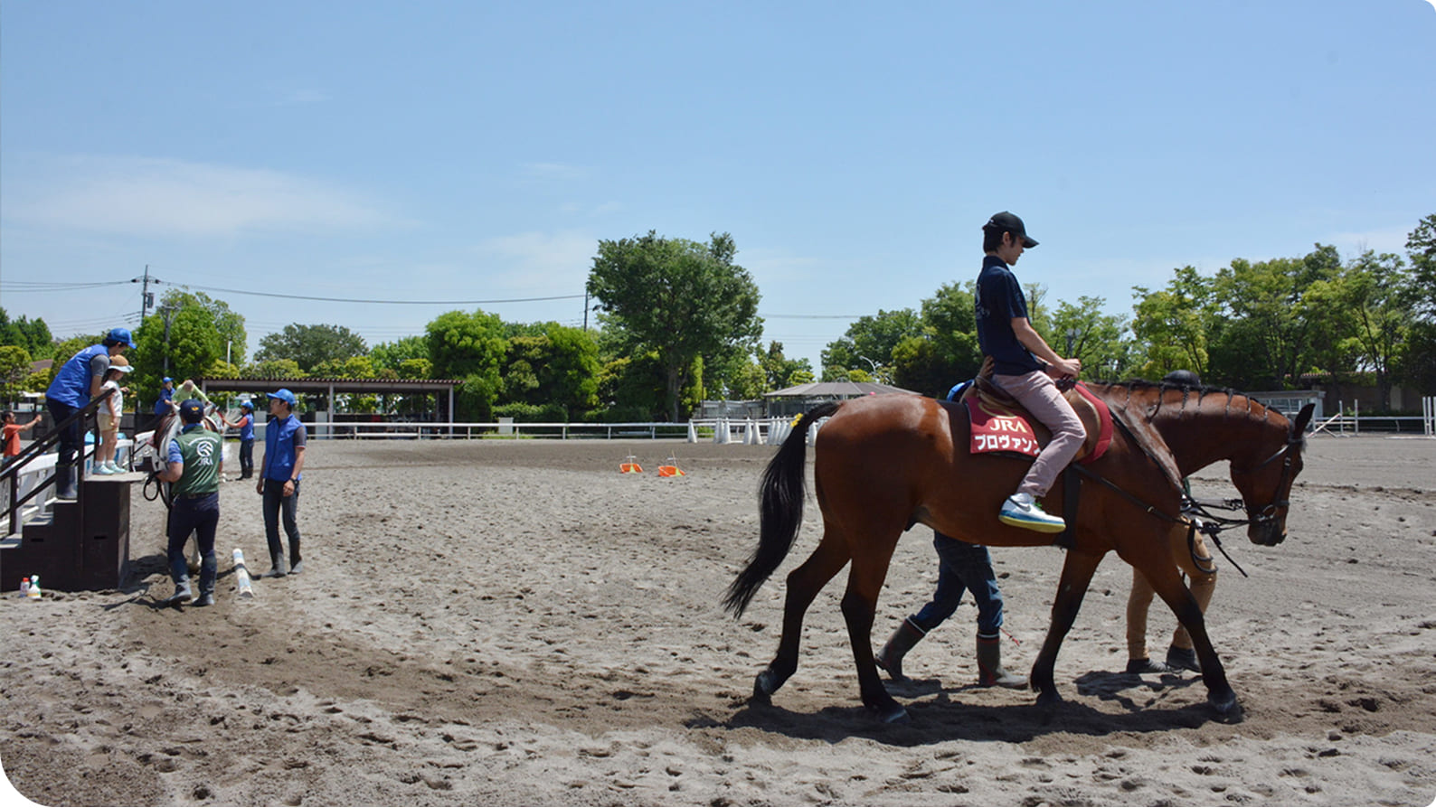 �̌���n�̗l�q