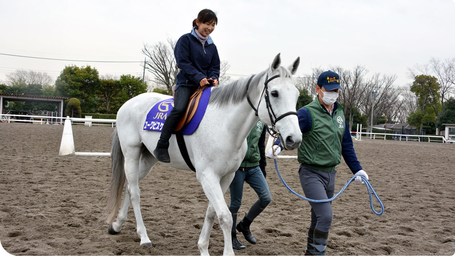 �̌���n�̗l�q