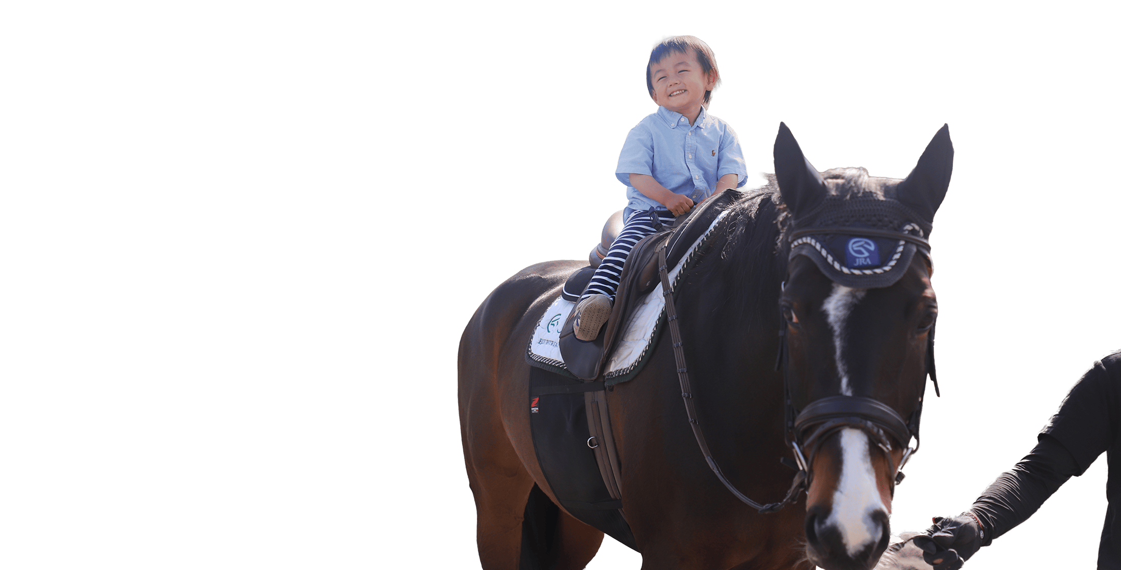 �̌���n�̗l�q