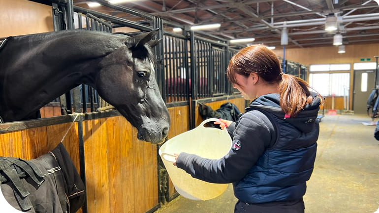 �n�̐��b������l�q