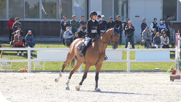 �n�p���̗l�q