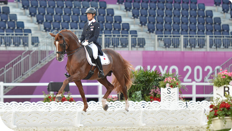 �I�����s�b�N�̗l�q