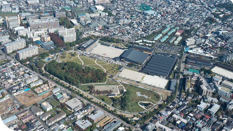 �n�������̋�B