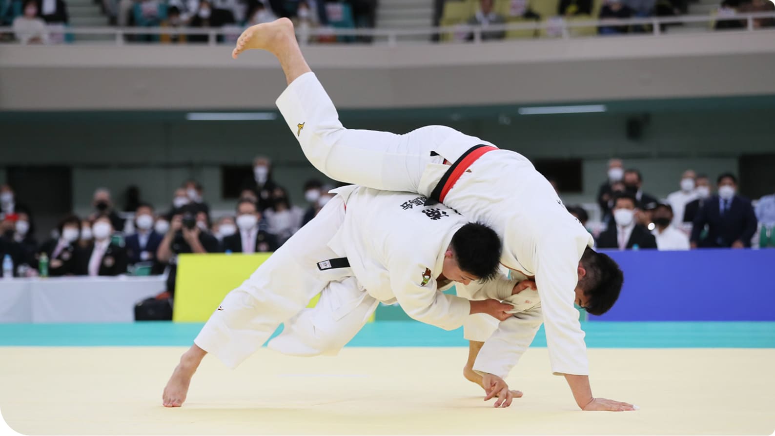 �_���̗l�q