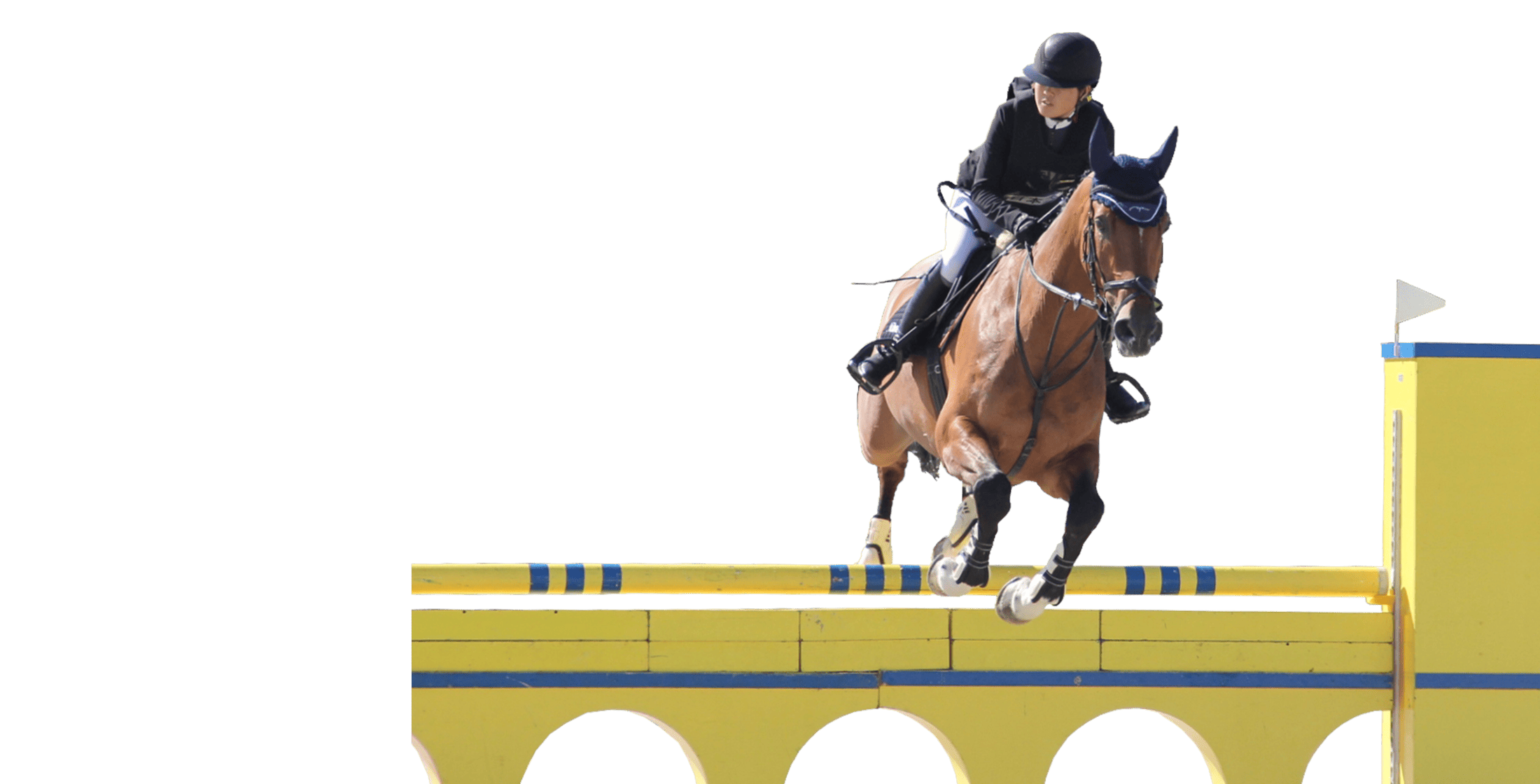 �n�p�̃C���[�W