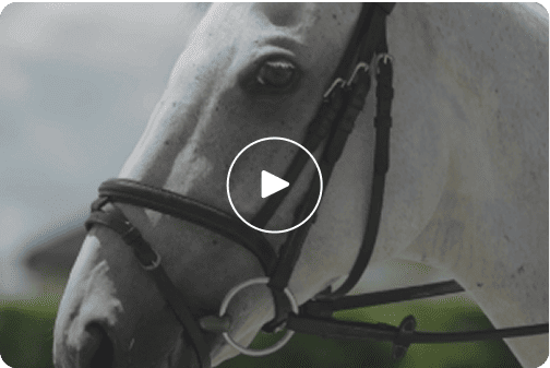 �y�b�g�{�g���ė��p