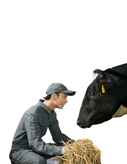 �l�Ƌ��ɗD�����u�����J���v