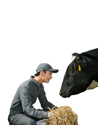 �l�Ƌ��ɗD�����u�����J���v