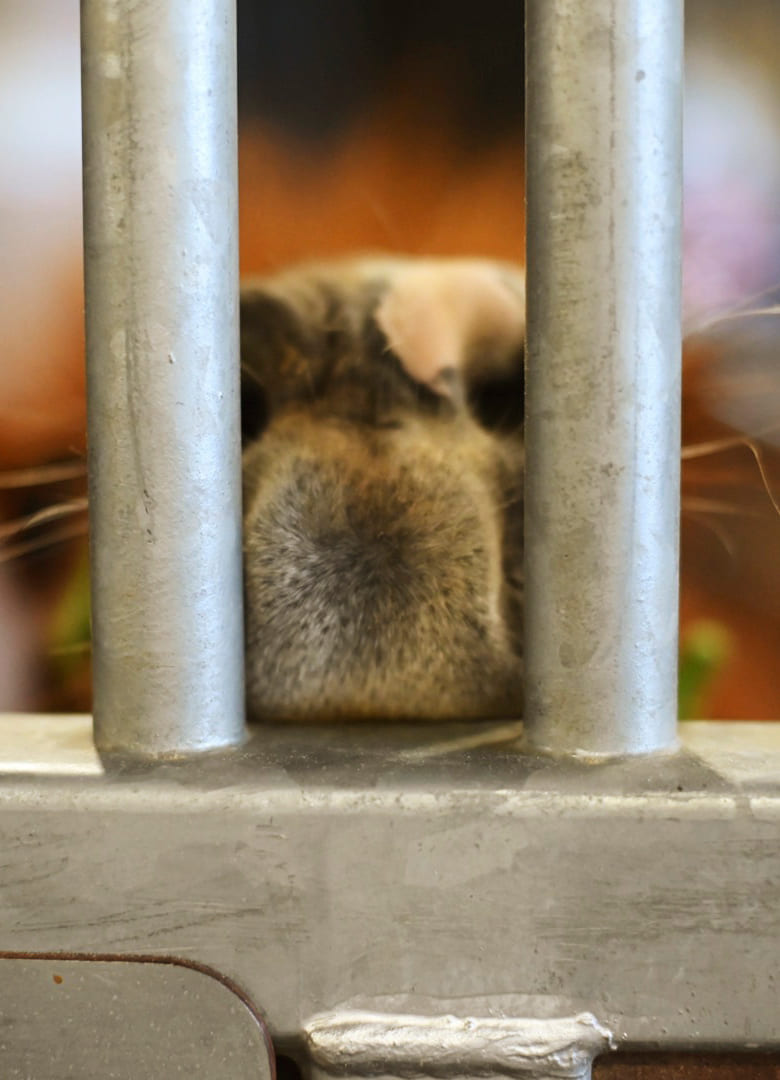 �O�㈤����̃C���^�r���[�̗l�q