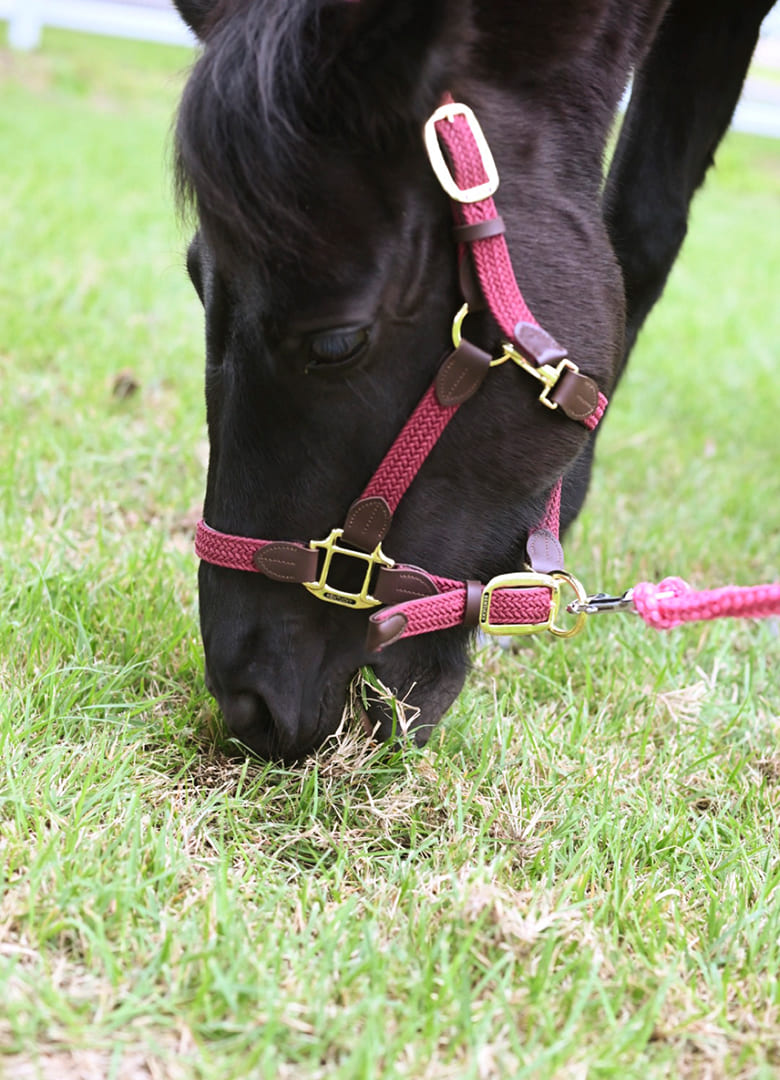 �O�㈤����̃C���^�r���[�̗l�q