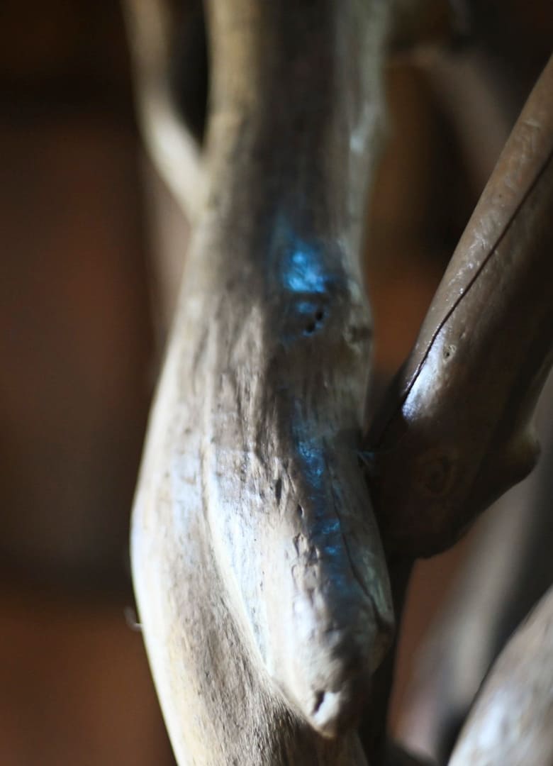 �O�㈤����̃C���^�r���[�̗l�q