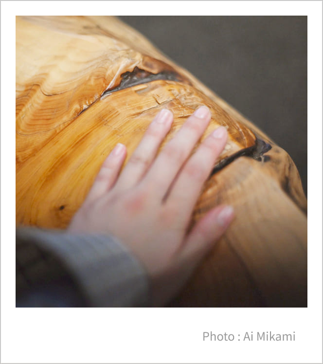 �c���[�n�E�X�̗l�q