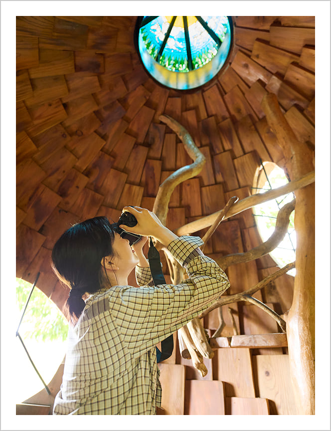 �c���[�n�E�X�̗l�q