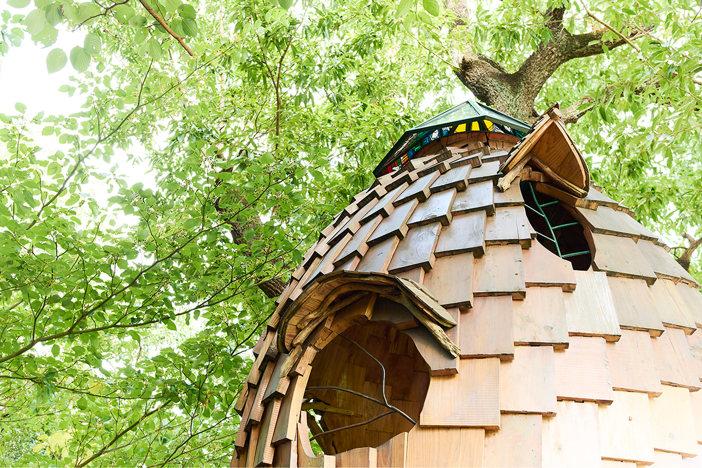 �C���^�r���[�̗l�q