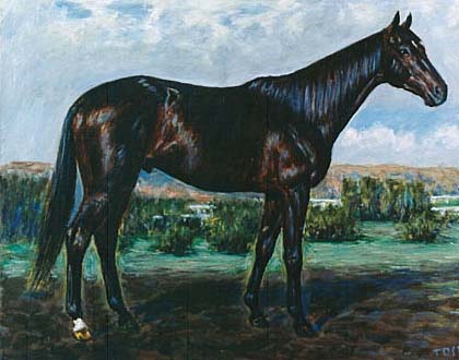 �n�C�Z�C�R�[