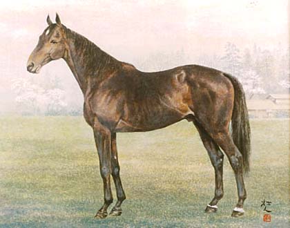 ���C�a�q�J��