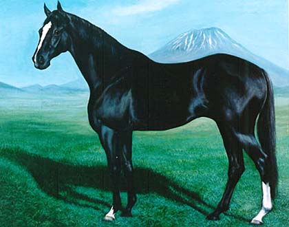 ���W�������[�k