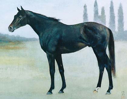 �~�X�^�[�V�[�r�[