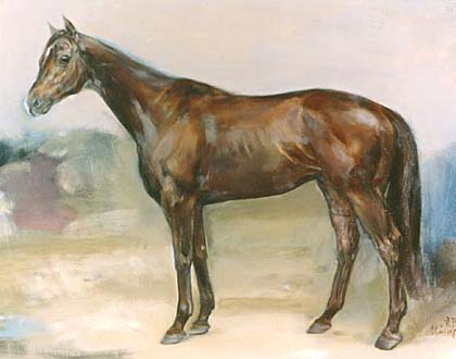 �i���^�u���C�A��