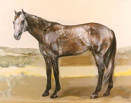 �I�O���L���b�v