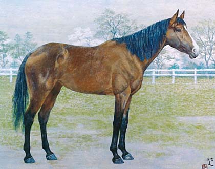 �g�L�c�J�[