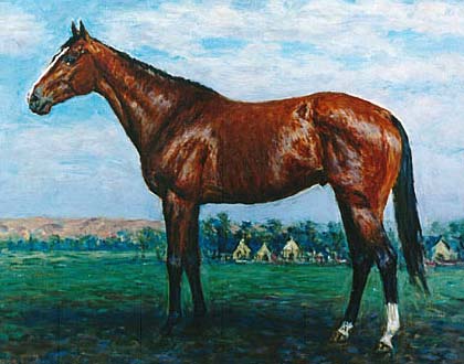 �g�T�~�h��