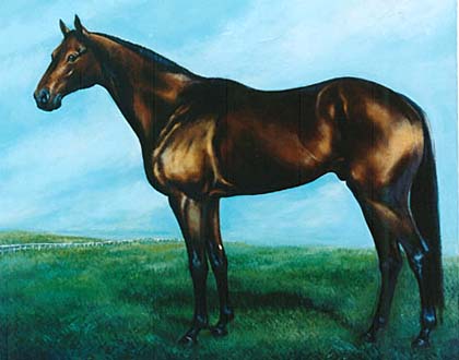 �g�E�V���E�{�[�C