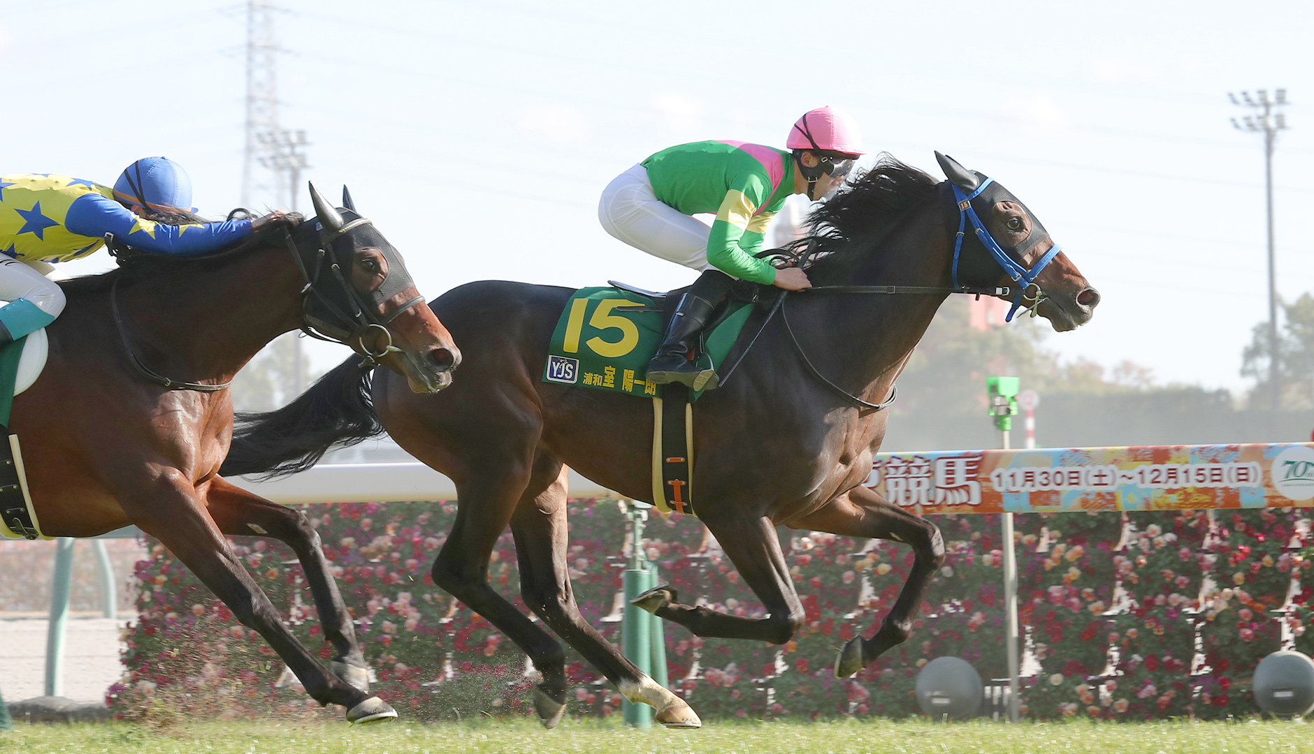 �����O�W���b�L�[�V���[�Y�@�C���[�W2