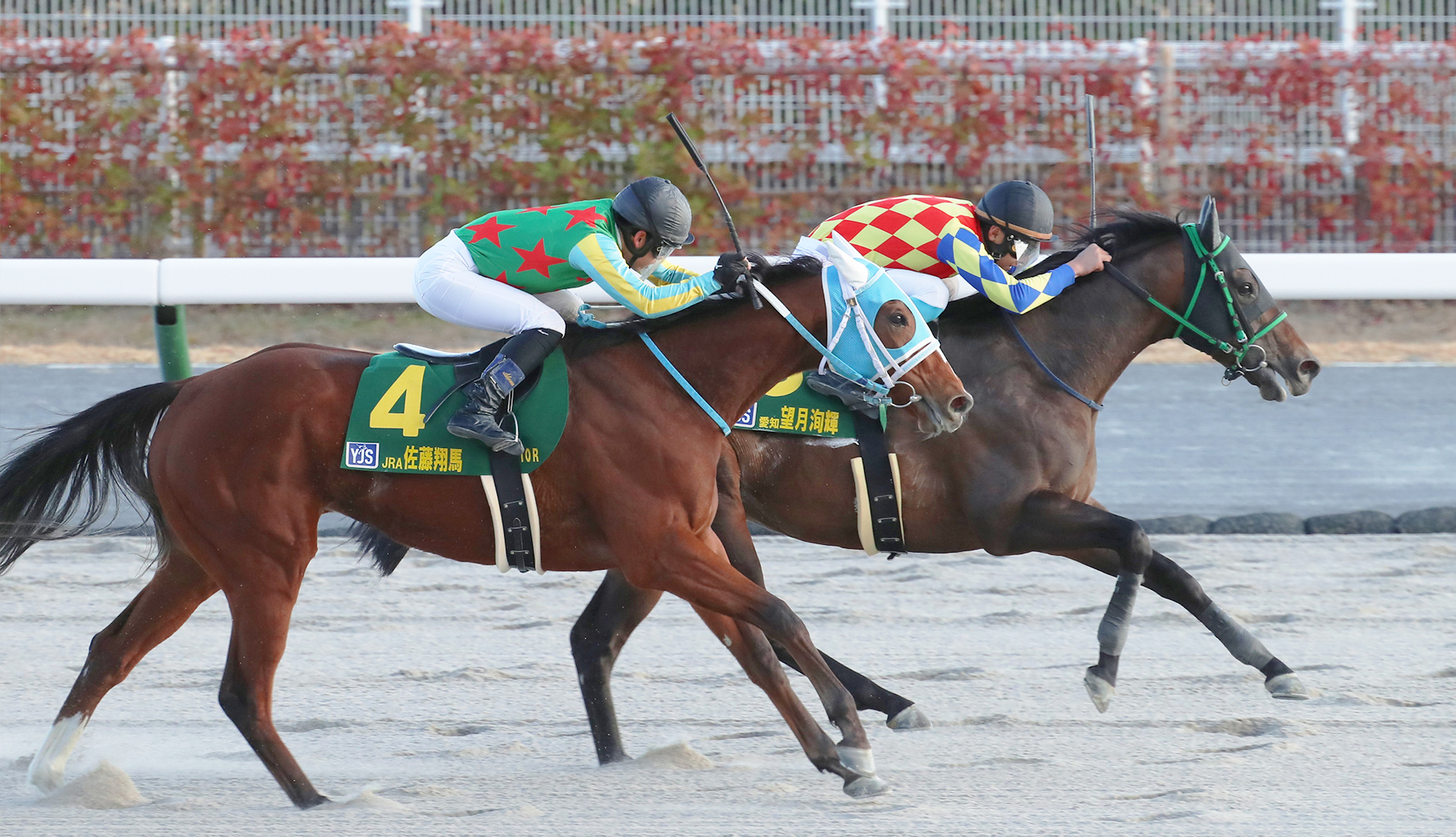 �����O�W���b�L�[�V���[�Y�@�C���[�W3