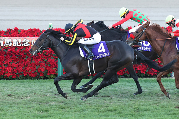 2025年 有馬記念 JRA