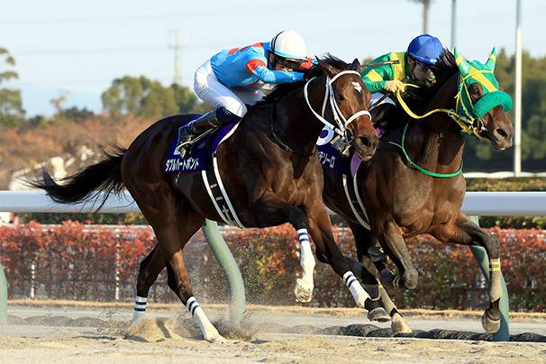 2025年 チャンピオンズカップ JRA