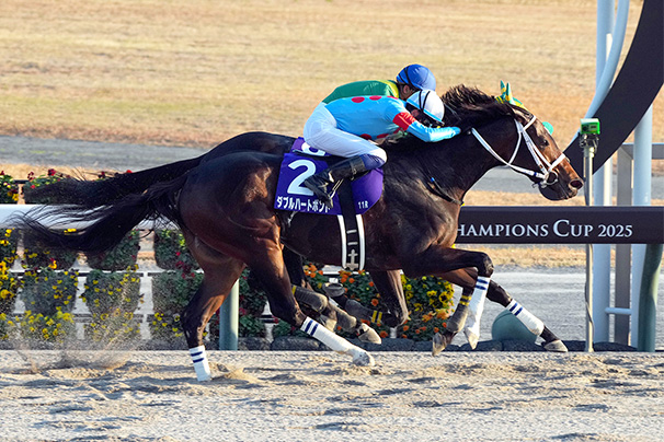 2025年 チャンピオンズカップ JRA
