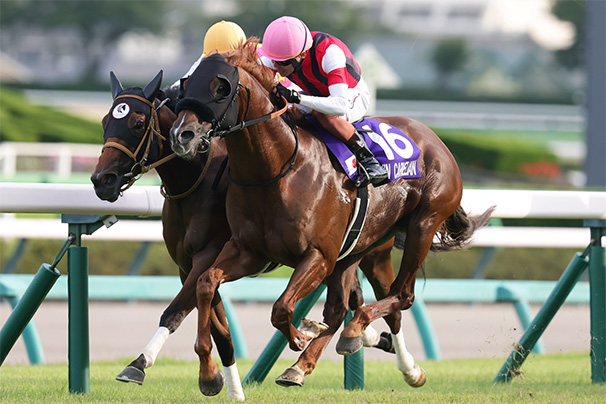 お取り置きウインカーネリアン イラスト 2025年スプリンターズステークス お取り置きウインカーネリアン イラスト 2025年スプリンターズ