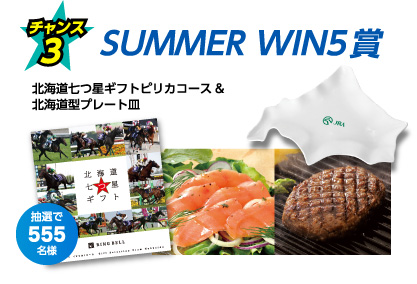 チャンス3:SUMMER WIN5賞 北海道七つ星ギフトピリカコース&北海道型プレート皿