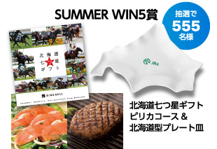 抽選で555名様:SUMMER WIN5賞 北海道七つ星ギフトピリカコース&北海道型プレート皿
