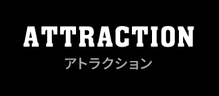 ATTRACTION