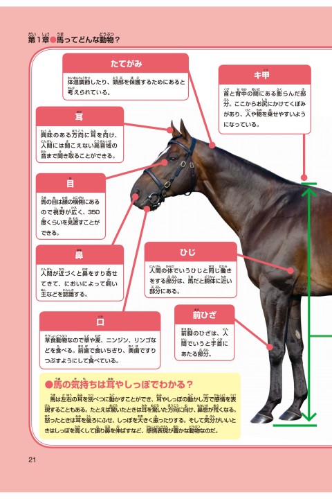 まんが社会見学シリーズ 大研究 馬はともだち