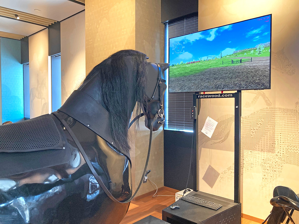 �z�[�X�V�~�����[�^�[�ʐ^