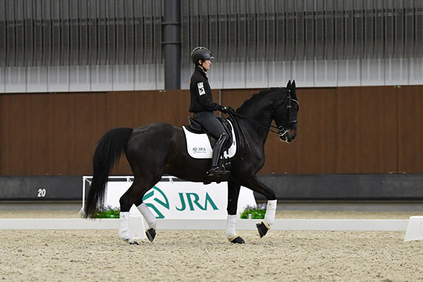 馬術フォーラム(佐渡)