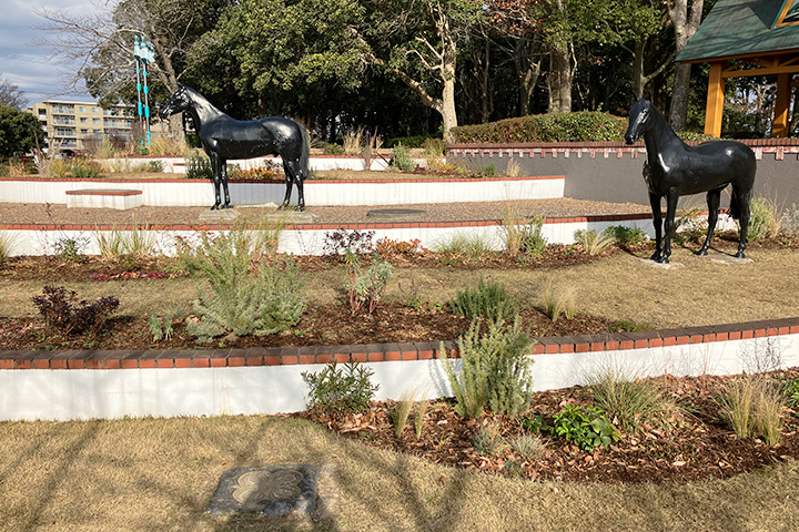 �V�[�Y���K�[�f���̉摜